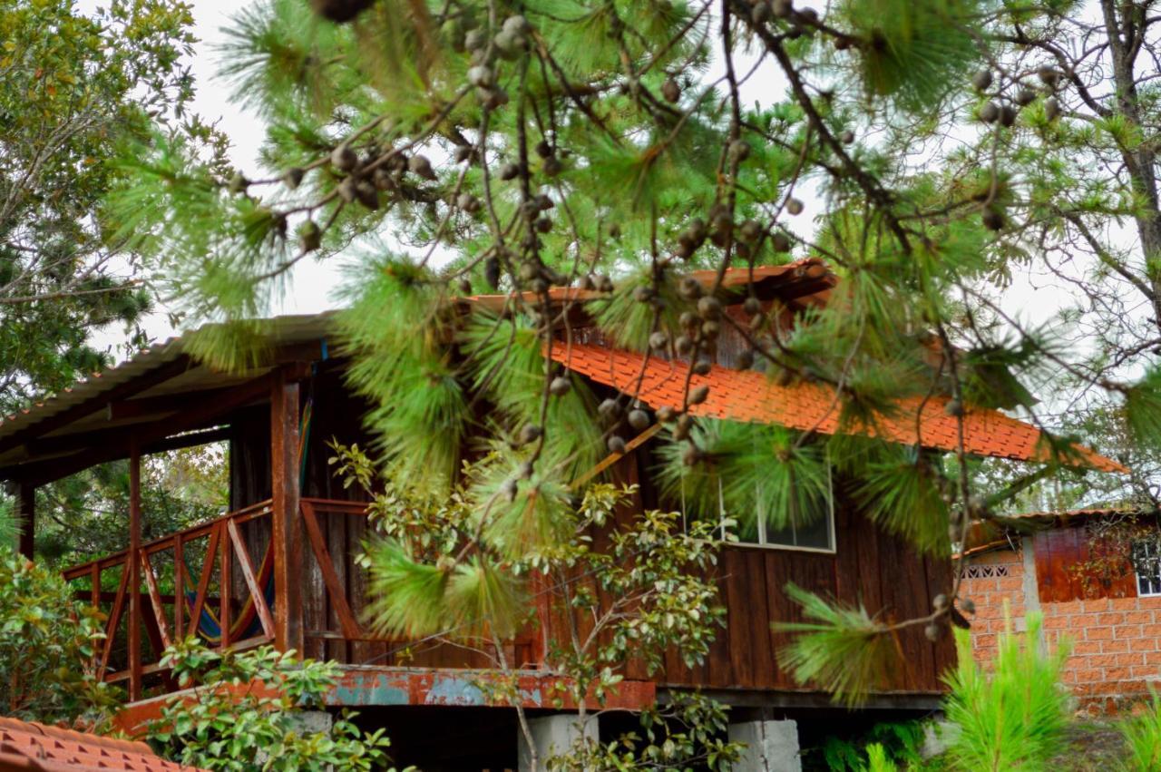 Hotel Y Restaurante Las Margaritas Perquín Eksteriør billede